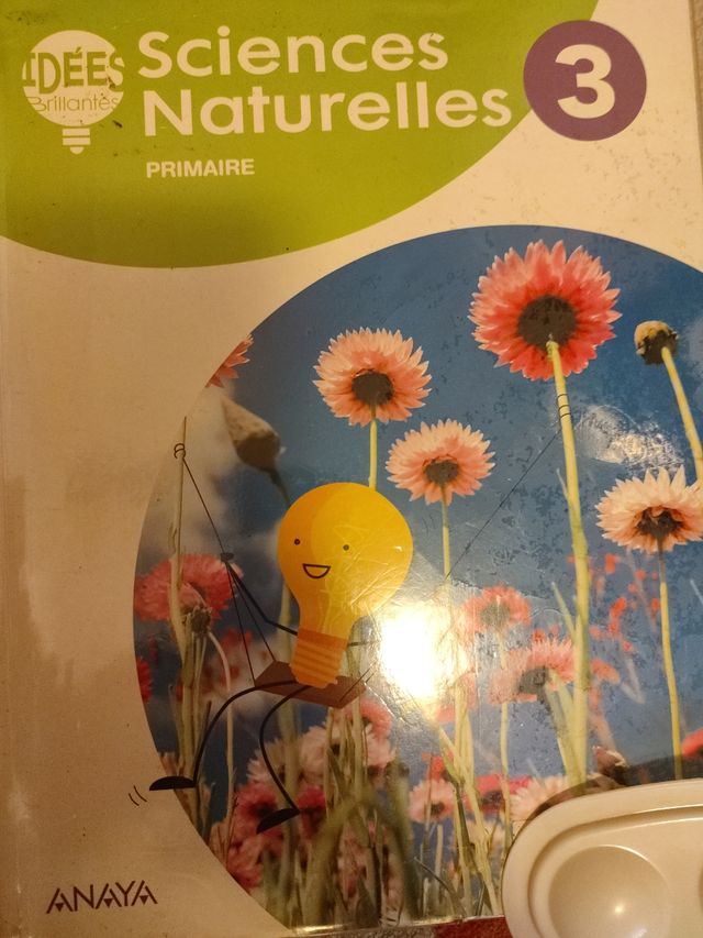 Proyecto: La leyenda del Legado. Lengua castellana y Literatura 3. Trimestres