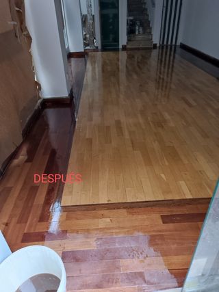 Pinturas y decoración 