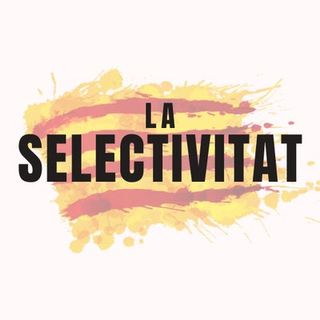 Selectivitat, EBAU, classes particulars