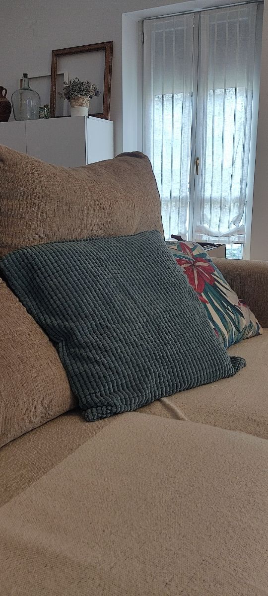 Dos fundas de cojín 