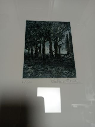 Grabado de paulina ituarte 
