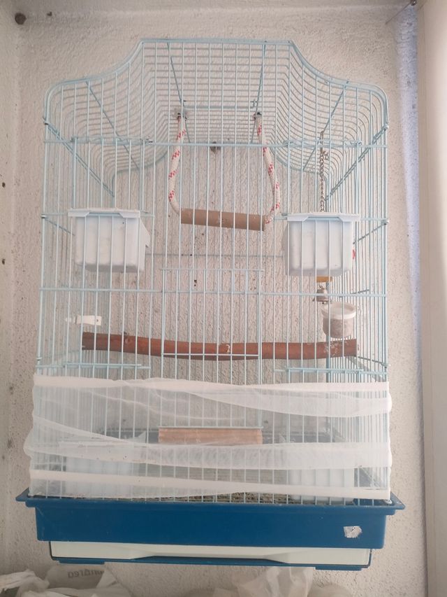 Jaula pájaros