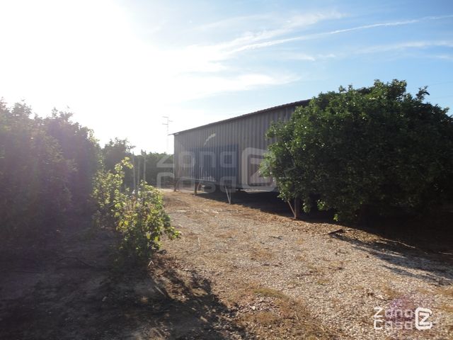 CASETA DE CAMPO - POLINYA DE XUQUER