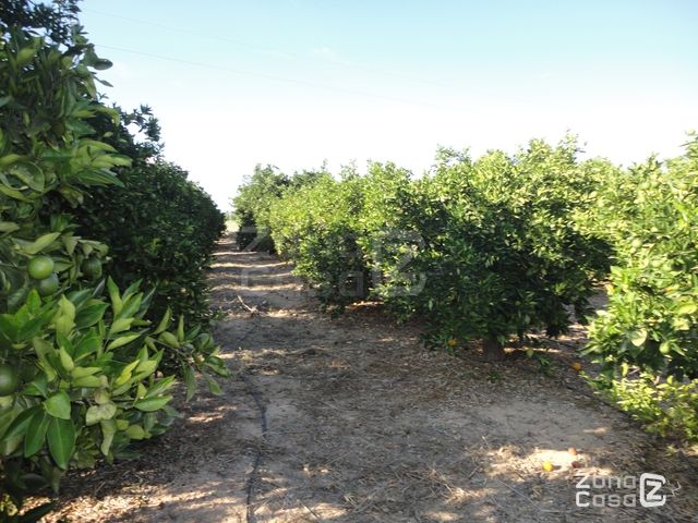 CASETA DE CAMPO - POLINYA DE XUQUER