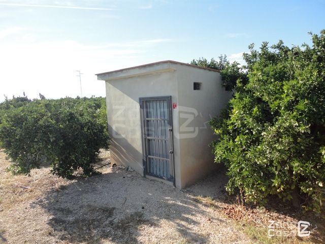 CASETA DE CAMPO - POLINYA DE XUQUER