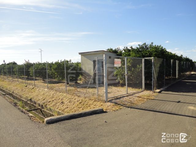 CASETA DE CAMPO - POLINYA DE XUQUER