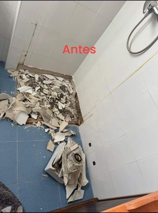 Reformas integrales 