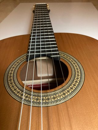 Guitarra Martinez