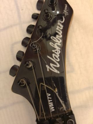 WASHBURN WM17V