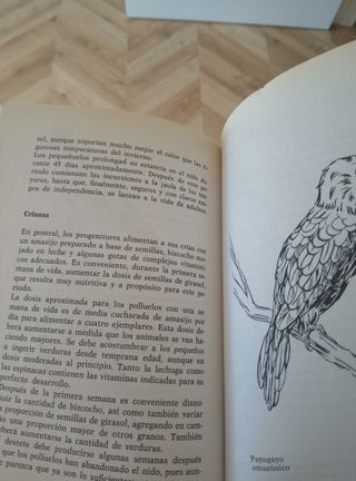 Libro PERIQUITOS, LOROS Y PAPAGAYOS