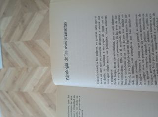 Libro PERIQUITOS, LOROS Y PAPAGAYOS