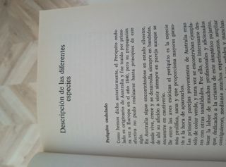 Libro PERIQUITOS, LOROS Y PAPAGAYOS