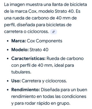Rueda carbono disco Cox