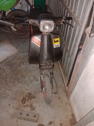 Derbi variant star ds world champions