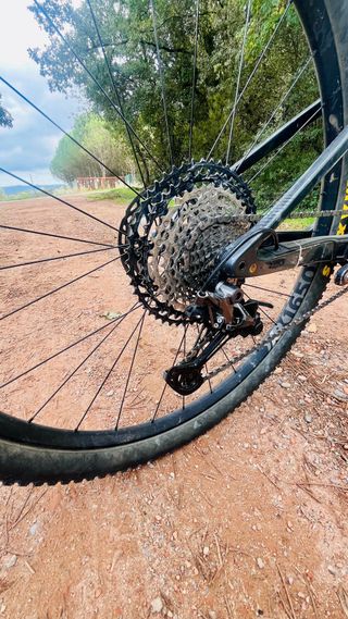 Orbea OIZ M10 TR Talla L 2019