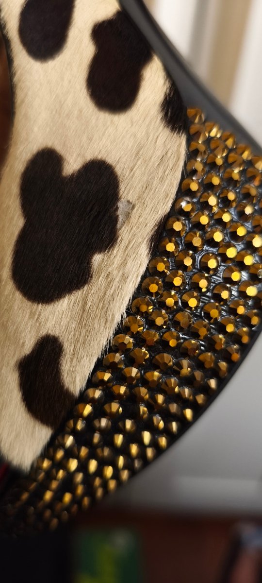 Zapatos Guiseppe Zanotti
