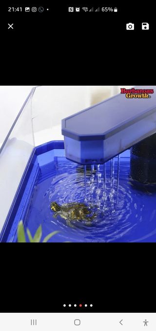 Acuario