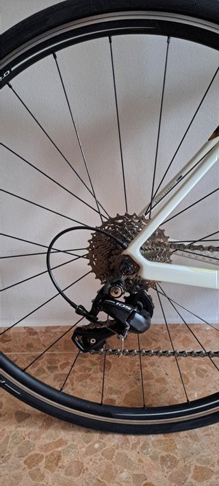 Ruby Specialized 2016, Talla 51