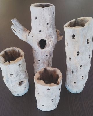 Tronco/raíz acuario (Decoración) Madera de cholla