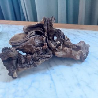 Troncos Naturales. Pecera. Terrario