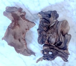 Troncos Naturales. Pecera. Terrario