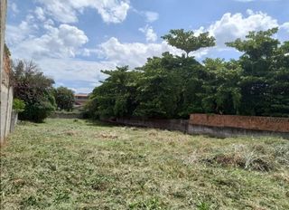 Jardinero economíco 