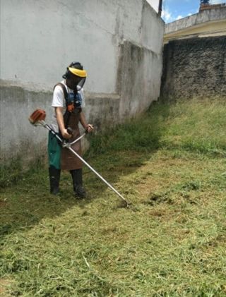 Jardinero economíco 