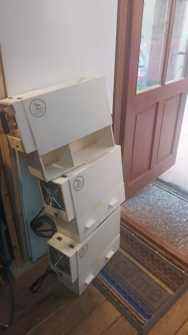 recolector de polvo de pájaros