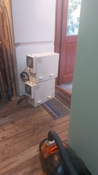 recolector de polvo de pájaros