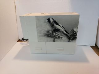 recolector de polvo de pájaros