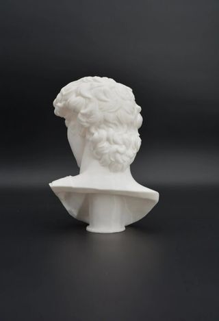 Busto David 3D