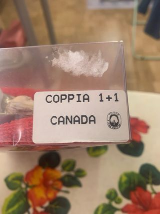 Set asciugamani con ricamo