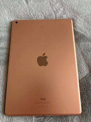 Ipad oro rosa 10,2