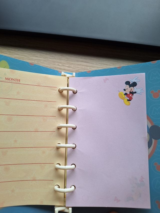 Agenda Mickey Mouse