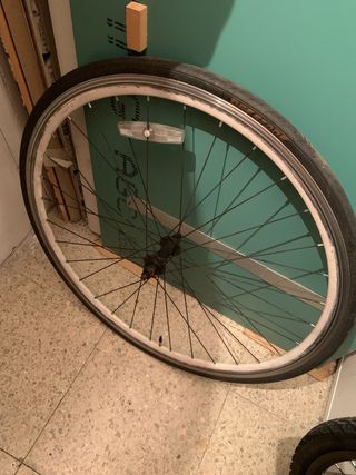 Rueda fixie