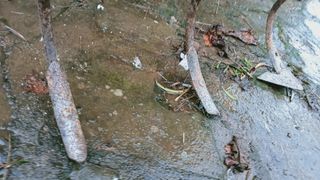 Arado para motocultor o tractor pequeño