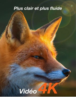 Cámara de Caza Solar 4K