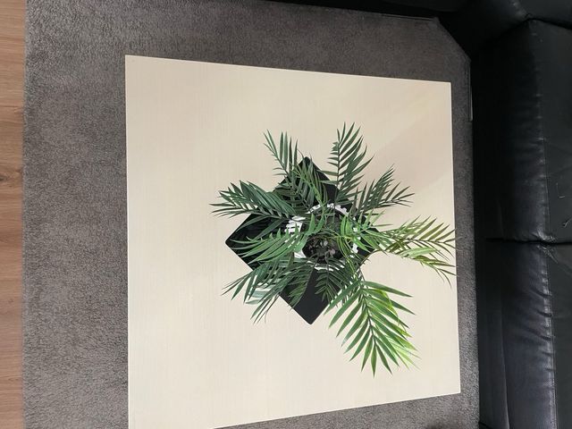 Mesa centro elevable