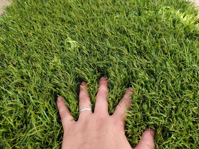 CÉSPED ARTIFICIAL REUTILIZADO 