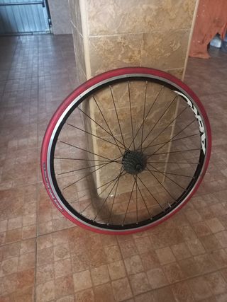 Mono de moto