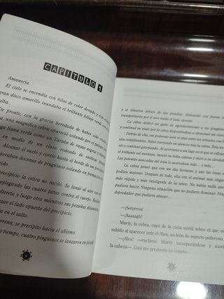 Madagascar. Novelización (Spanish Edition)