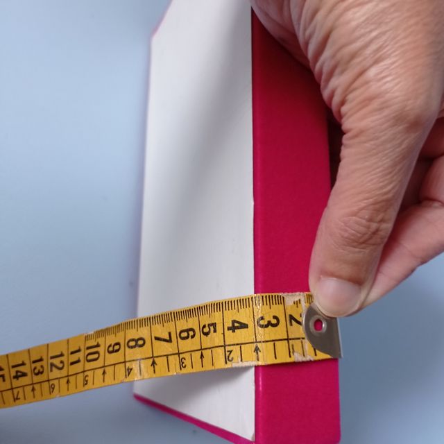 Bandeja portaanillos