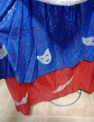 Disfraz de Carnaval n°3