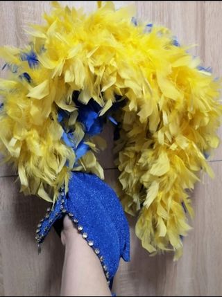 Disfraz de Carnaval n°3