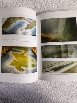 CONTRA ARMADA CATÁSTROFE NAVAL  INGLATERRA. 2011