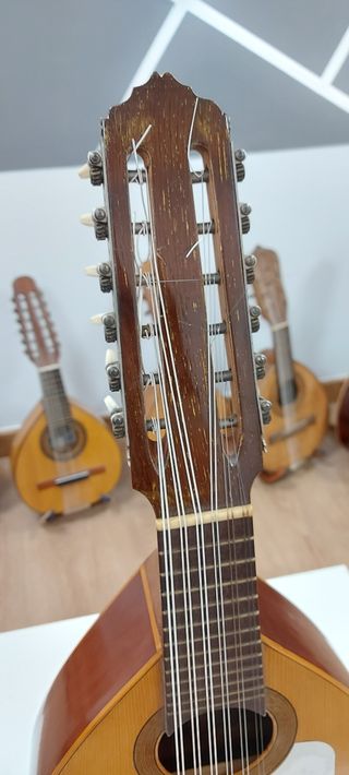 Bandurria Miguel Rodríguez Beneyto