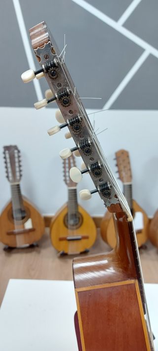 Bandurria Miguel Rodríguez Beneyto