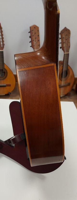 Bandurria Miguel Rodríguez Beneyto