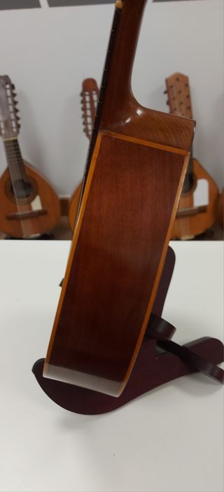 Bandurria Miguel Rodríguez Beneyto