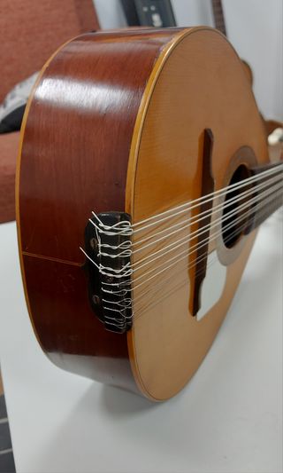 Bandurria Miguel Rodríguez Beneyto